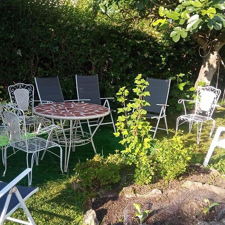 サンタ・クルス・デ・ベサナ Casa Grande Con Jardinヴィラ エクステリア 写真