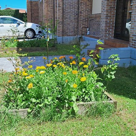サンタ・クルス・デ・ベサナ Casa Grande Con Jardinヴィラ エクステリア 写真